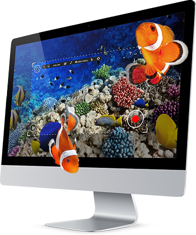 ocean fish screen saver