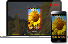 screen with Picture-in-Picture function